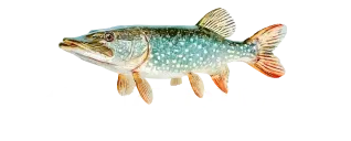 LongRiver